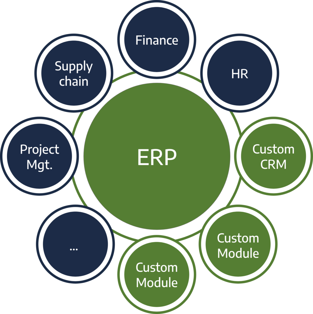 Inforgraphy: custom ERP